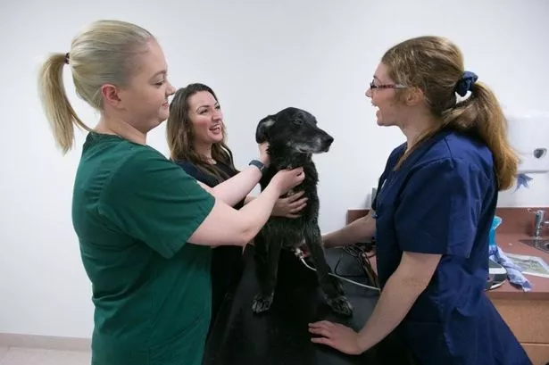 Ellesmere Port’s not-for-profit vets celebrates first birthday with expansion and free treatments